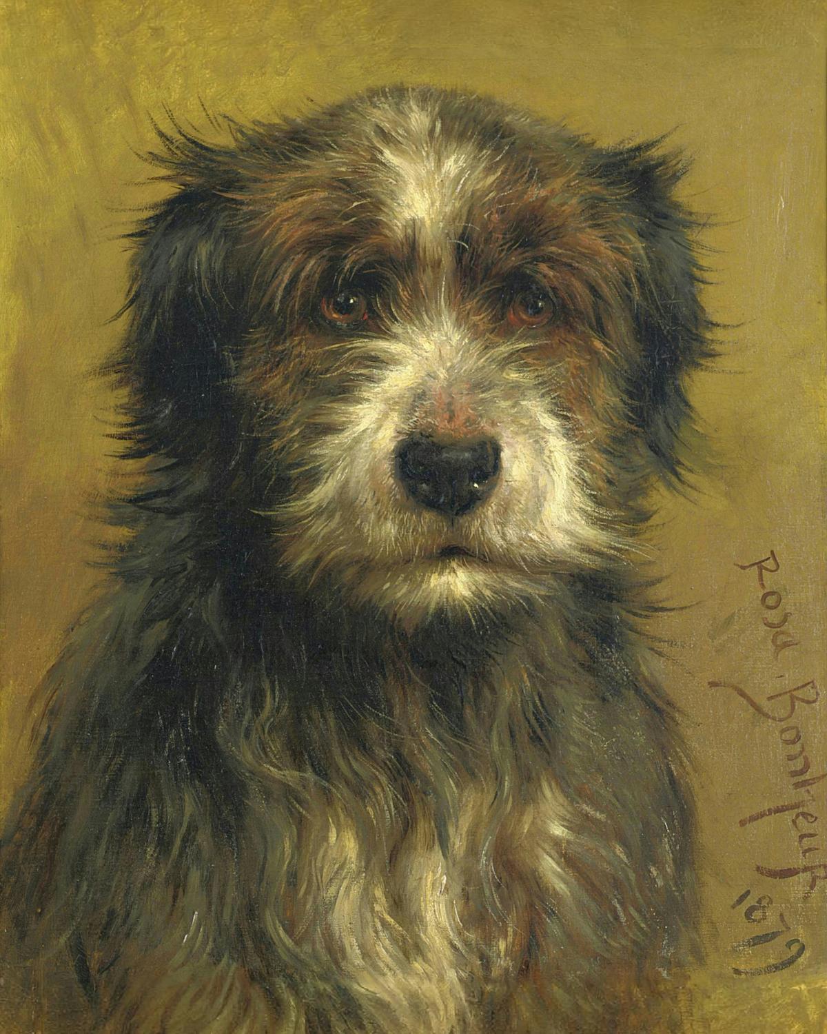 Martin, a terrier · Pets pet portrait — custom painted portrait by Fable