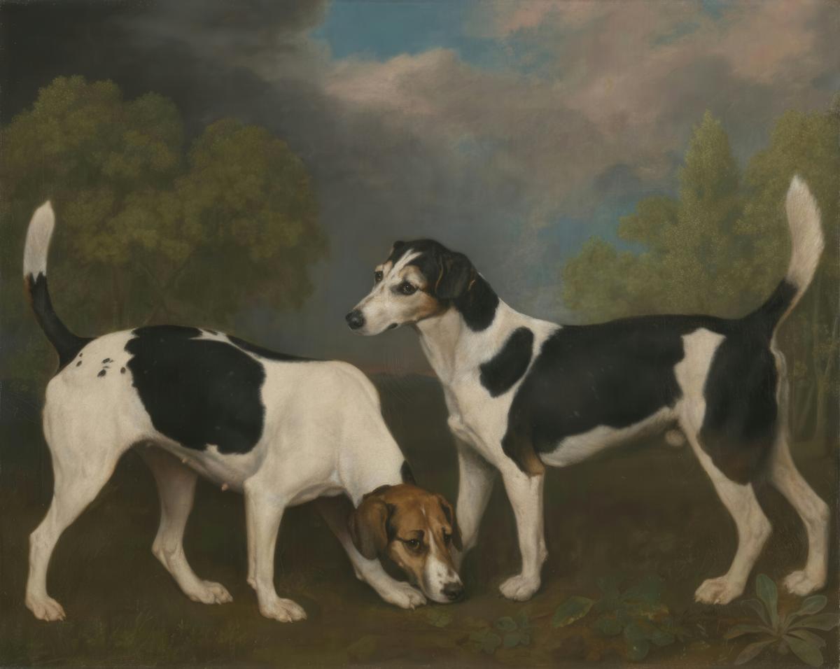 A Couple of Foxhounds · Pets pet portrait — custom painted portrait by Fable