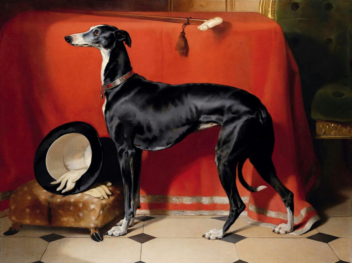 Eos · Pets pet portrait — custom painted portrait by Fable