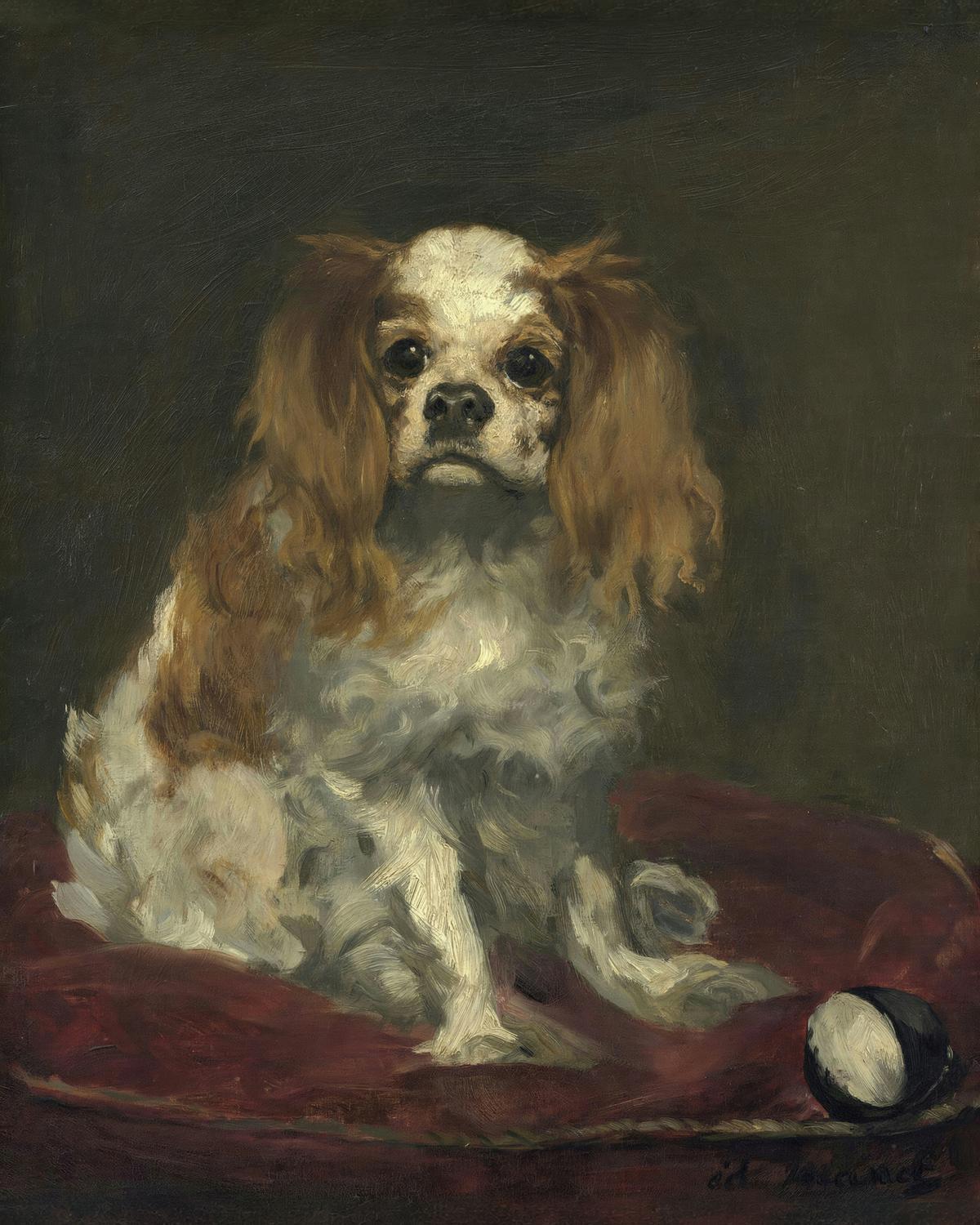 A King Charles Spaniel · Pets pet portrait — custom painted portrait by Fable