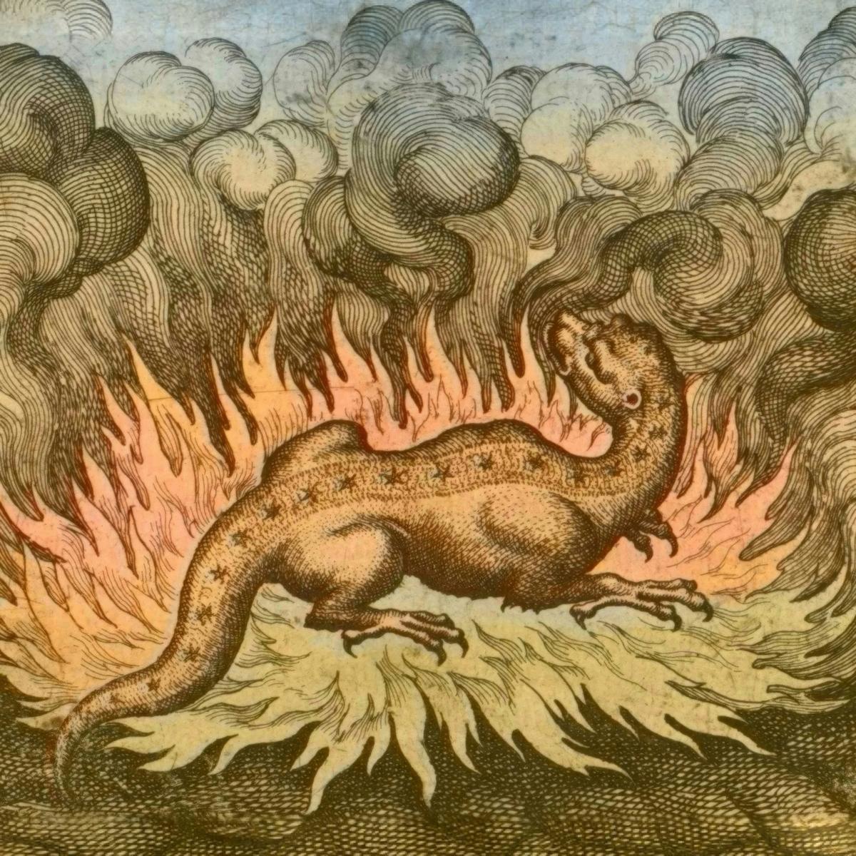 The Salamander in the Fire by Matthäus Merian the Elder, after Michael Maier — archival fine-art print from Fable