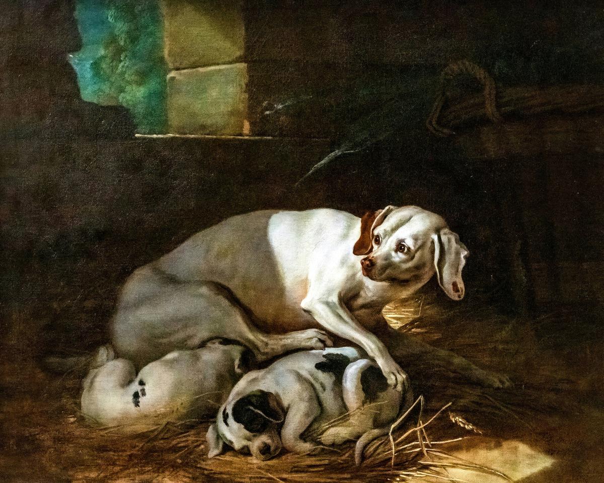 Bitch Suckling Her Pups · Pets pet portrait — custom painted portrait by Fable