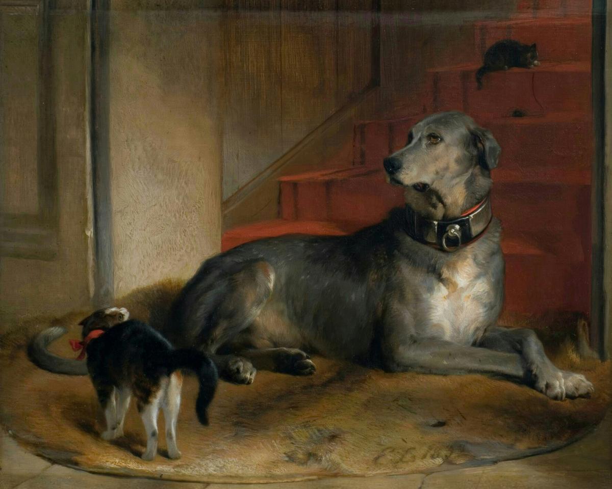 Lady Blessington's Dog: The Barrier · Pets pet portrait — custom painted portrait by Fable