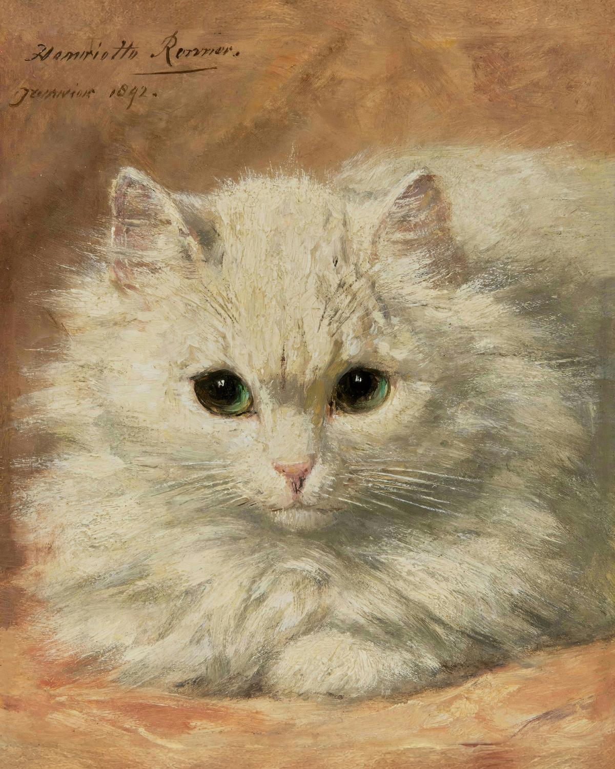 Head of a White Angora Kitten · Pets pet portrait — custom painted portrait by Fable
