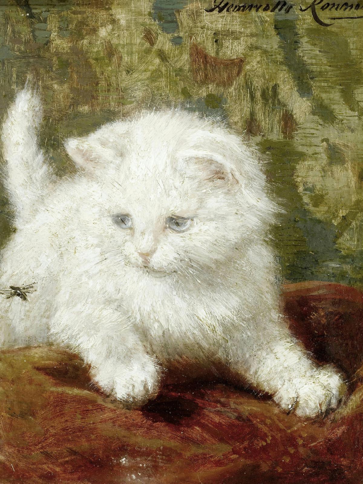 Curiosity · Pets pet portrait — custom painted portrait by Fable
