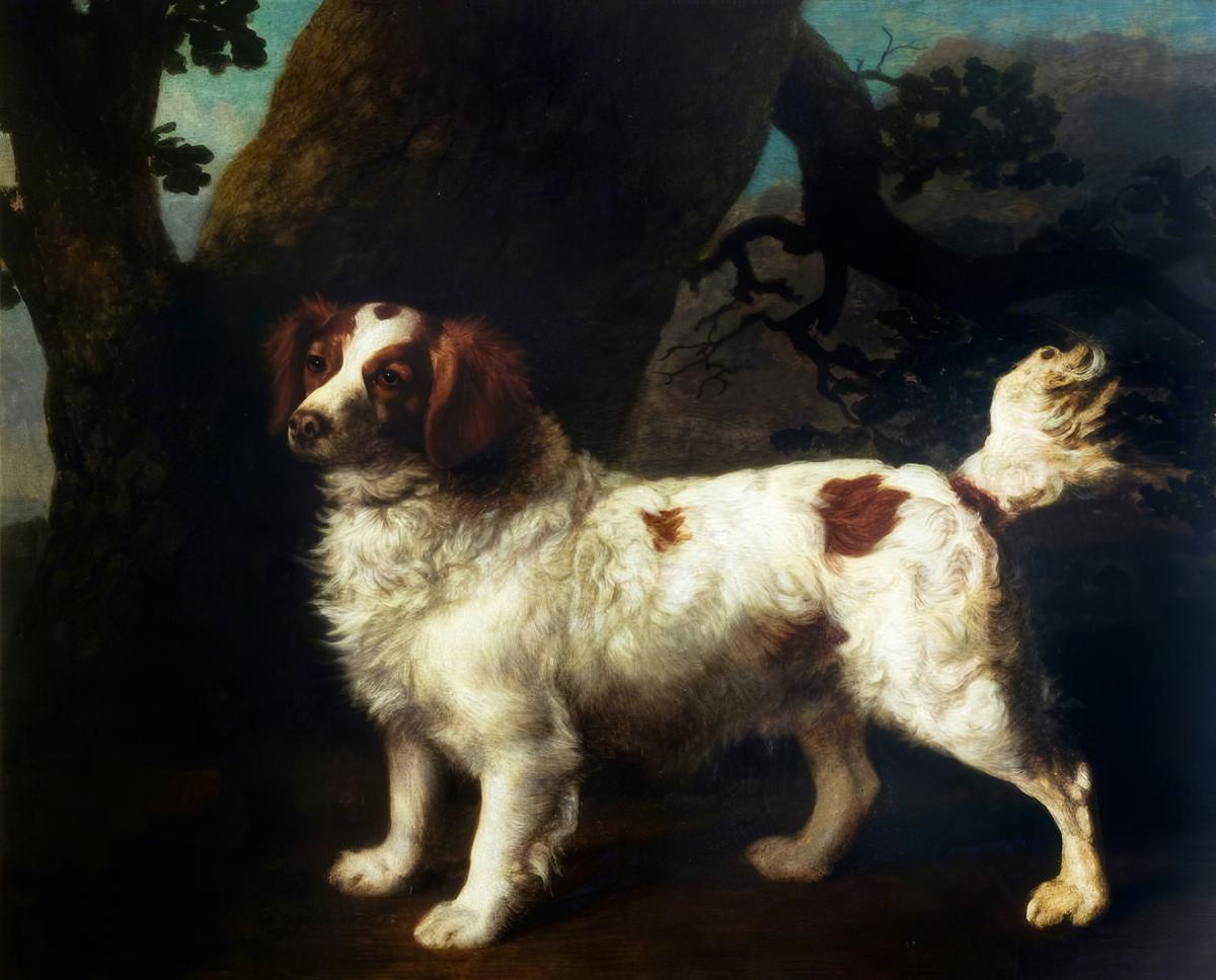 A Clumber Spaniel · Pets pet portrait — custom painted portrait by Fable