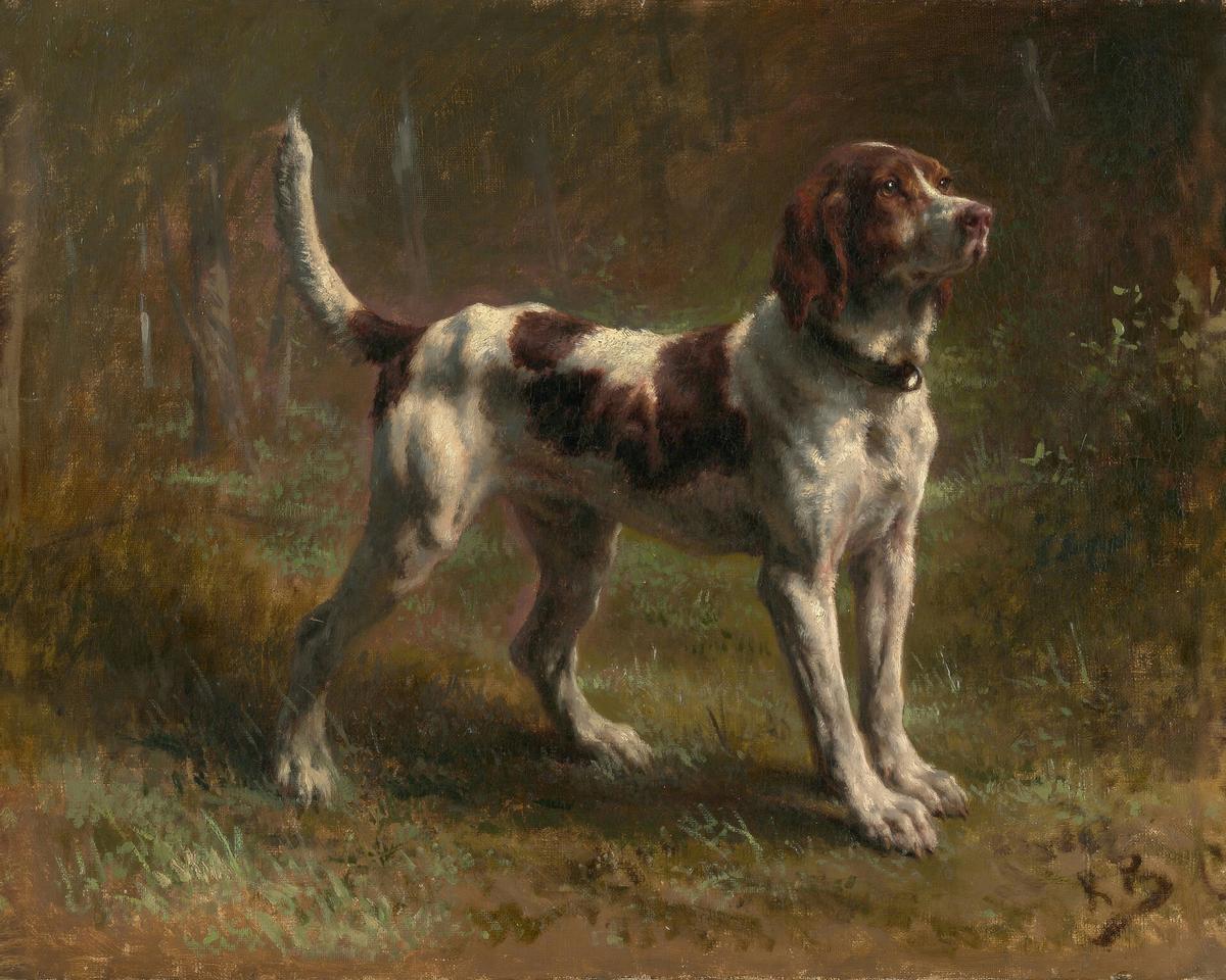 A Limier Briquet Hound · Pets pet portrait — custom painted portrait by Fable