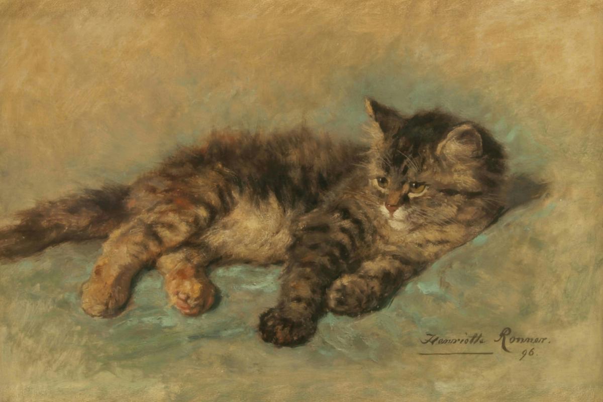 Kitten Lying Down · Pets pet portrait — custom painted portrait by Fable