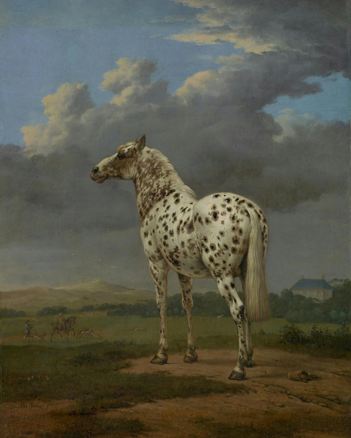 The "Piebald" Horse · Pets pet portrait — custom painted portrait by Fable