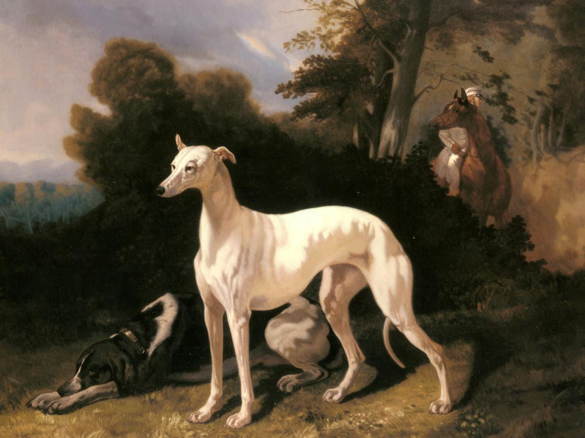 A Greyhound In An Extensive Landscape · Pets pet portrait — custom painted portrait by Fable