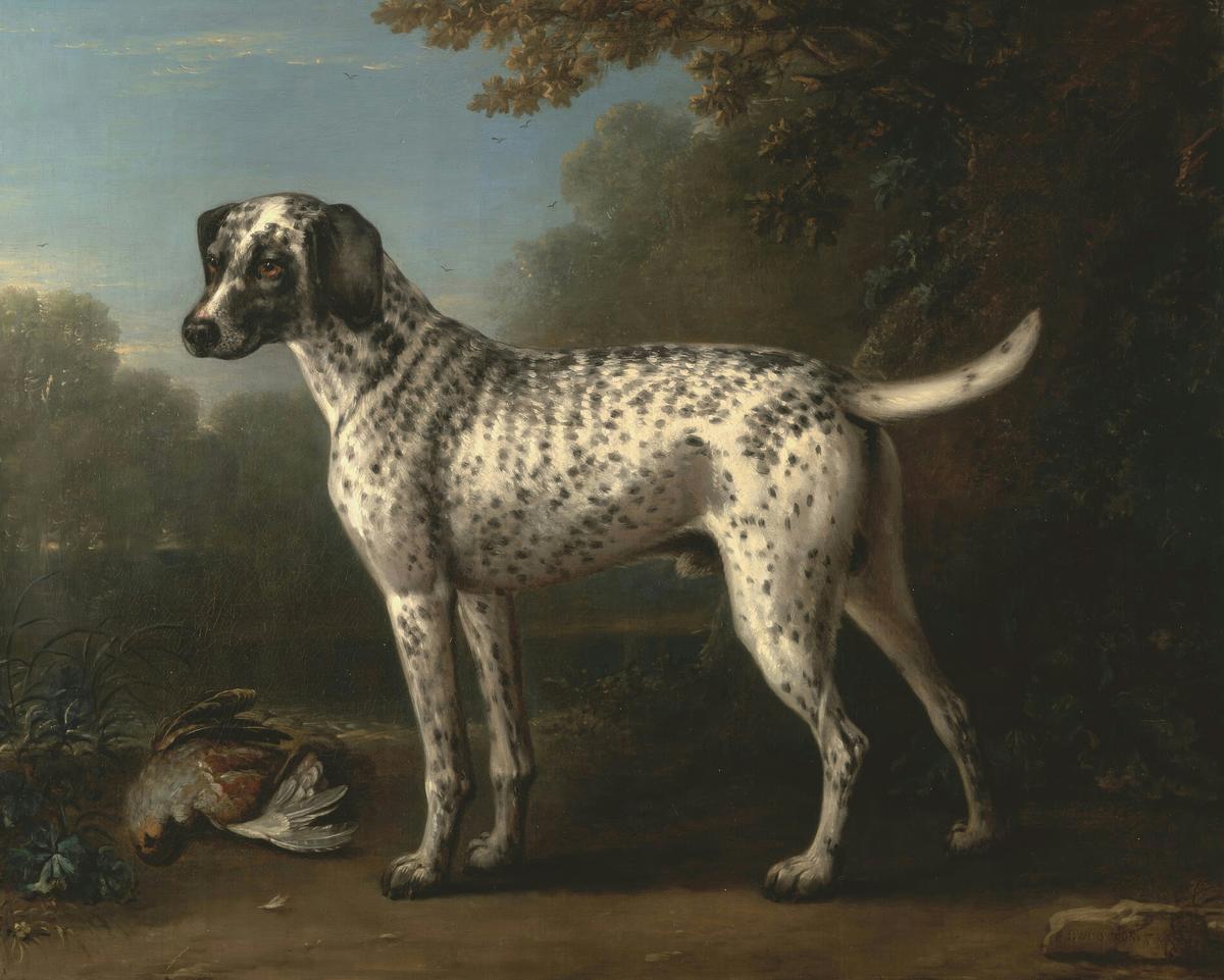 A Grey Spotted Hound · Pets pet portrait — custom painted portrait by Fable