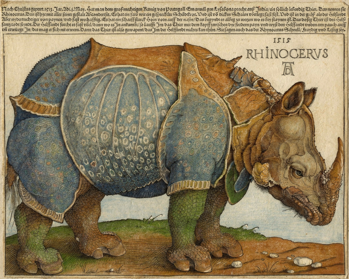 The Rhinoceros by artist: Albrecht Dürer (German, 1471–1528) — archival fine-art print from Fable