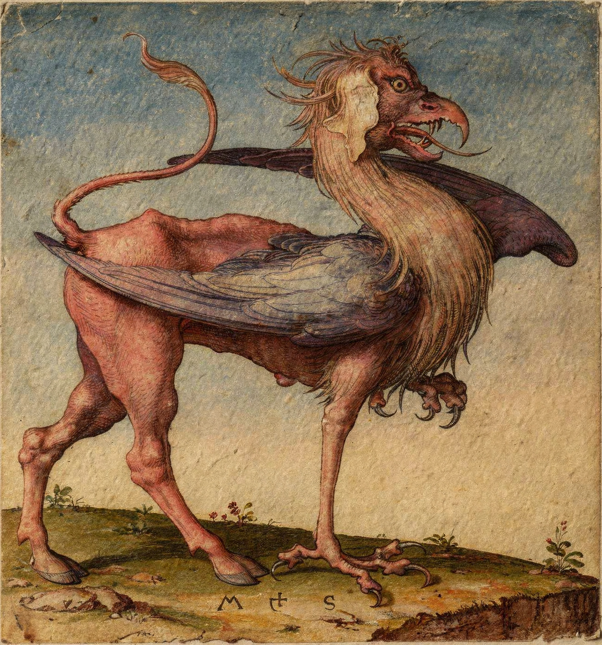 The Griffin by artist: Martin Schongauer (German, c. 1450–1491) — archival fine-art print from Fable