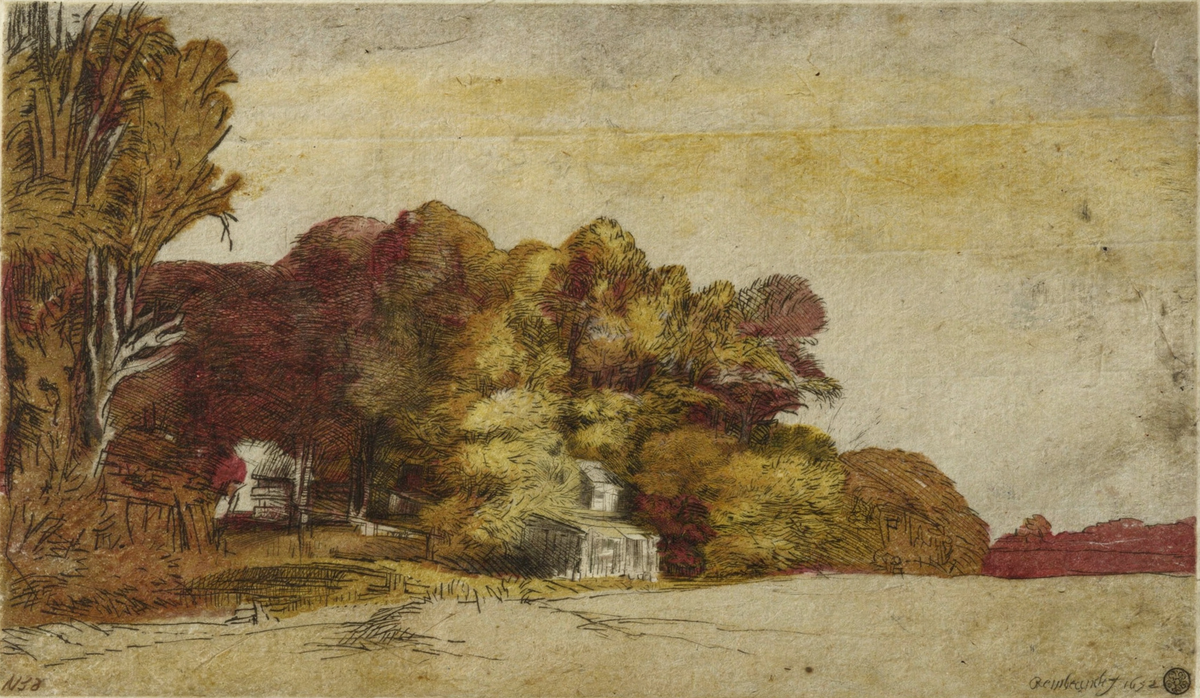 Clump of Trees with a Vista by artist: Rembrandt van Rijn (Dutch, 1606–1669) — archival fine-art print from Fable
