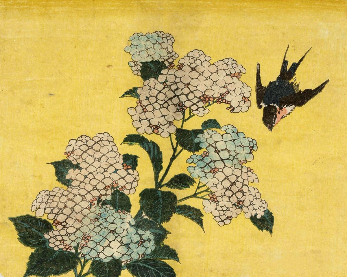 Hydrangea and Swallow by Katsushika Hokusai 葛飾 北斎
Japanese, 1760-1849 — archival fine-art print from Fable