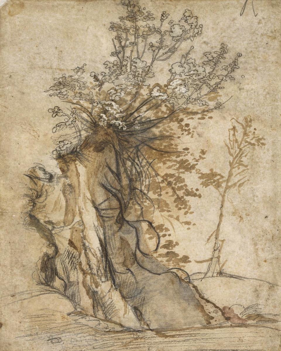 Flowering Bush above an Eroded Bank by Federico Barocci — archival fine-art print from Fable