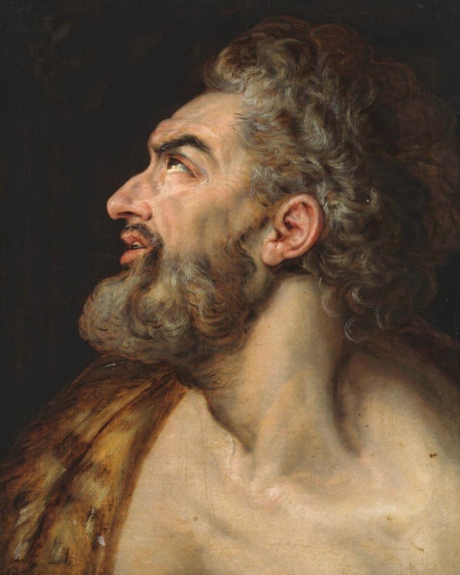 Study Head of a Bearded Man by Frans Floris, I — archival fine-art print from Fable