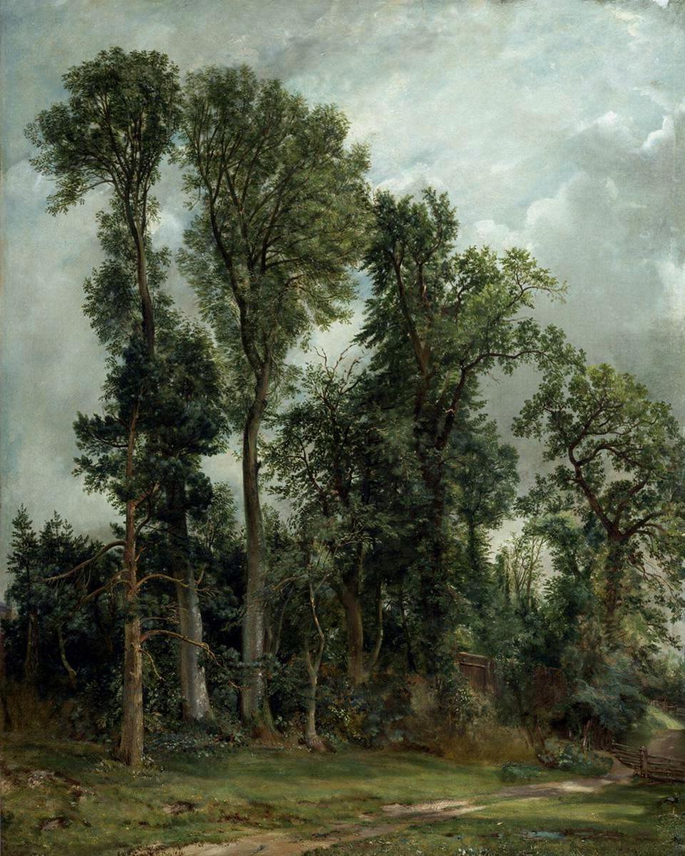 Trees at Hampstead: The Path to Church by Constable, John — archival fine-art print from Fable