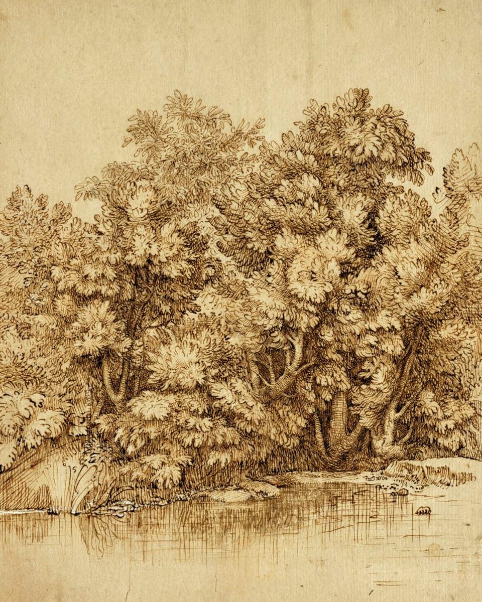 Trees Near a Pool of Water by Titian — archival fine-art print from Fable