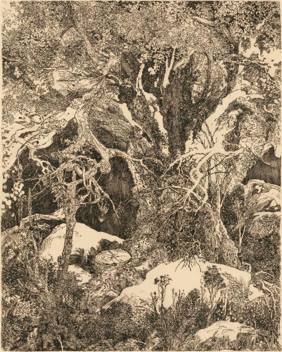 The Forest of Fontainebleau by Rodolphe Bresdin
French, 1825-1885 — archival fine-art print from Fable
