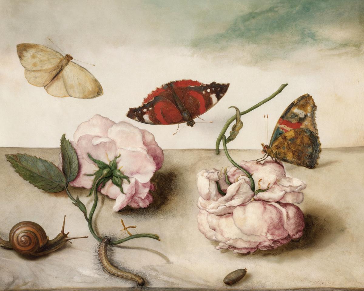 Still Life of Flowers and Small Animals on a Ledge by Margareta de Heer — archival fine-art print from Fable