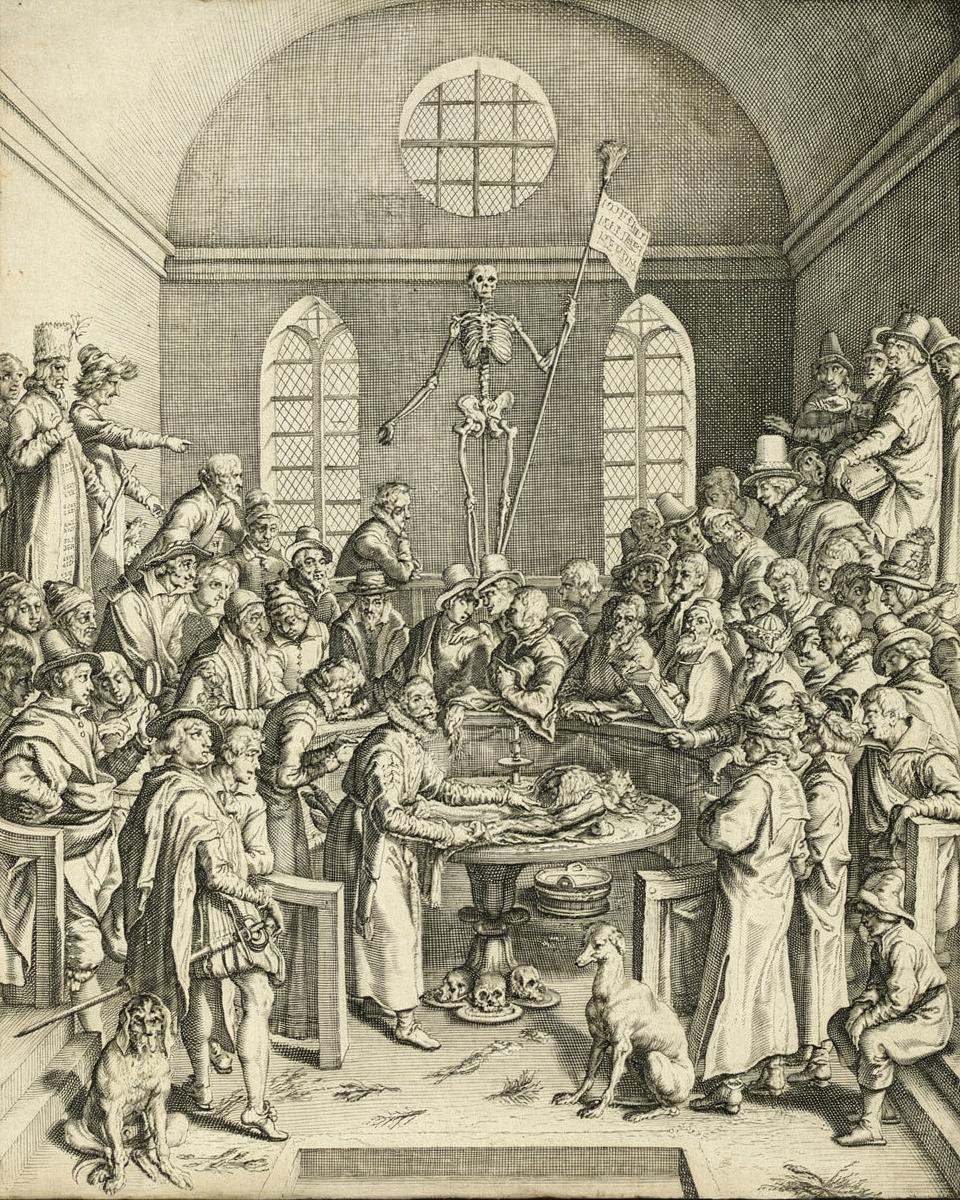 The Anatomical Lesson of Professor Pauw by Andries Stock (Dutch, c. 1580-after 1648)
after Jacques de Gheyn II — archival fine-art print from Fable