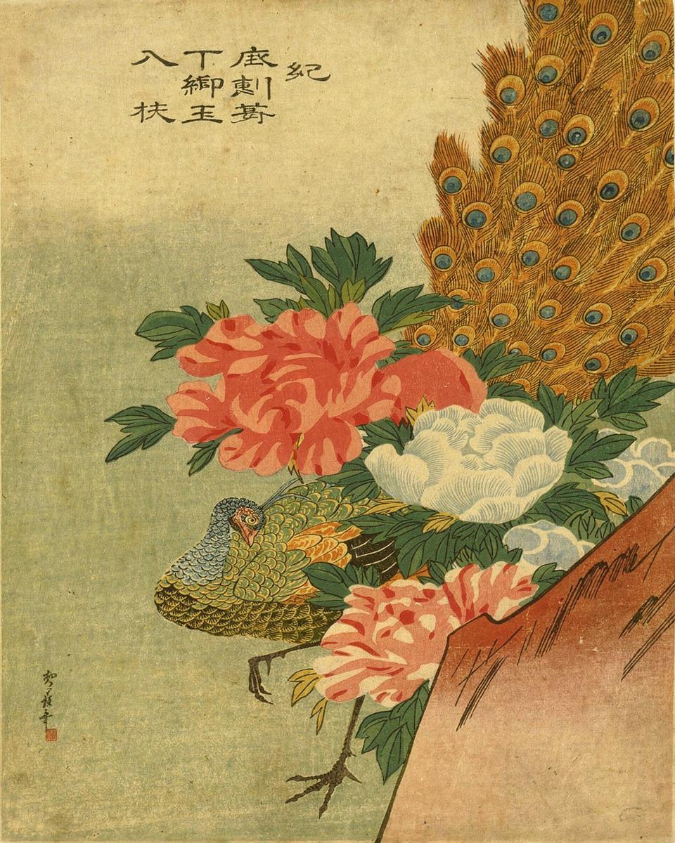 Peacock and Peonies (Kujaku ni botan) by Utagawa Hiroshige — archival fine-art print from Fable