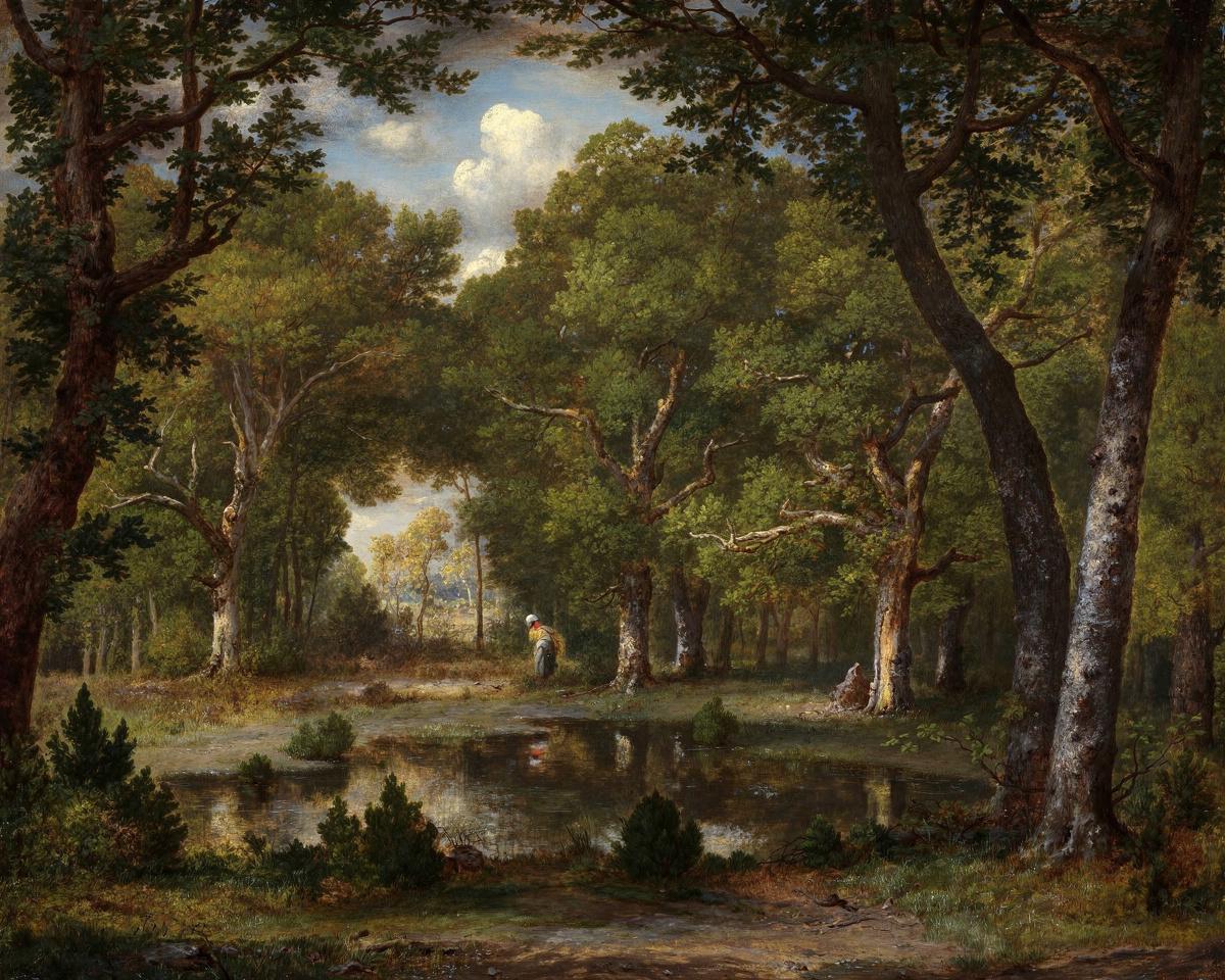 Pond in the Woods by Narcisse Virgile Diaz de la Peña — archival fine-art print from Fable