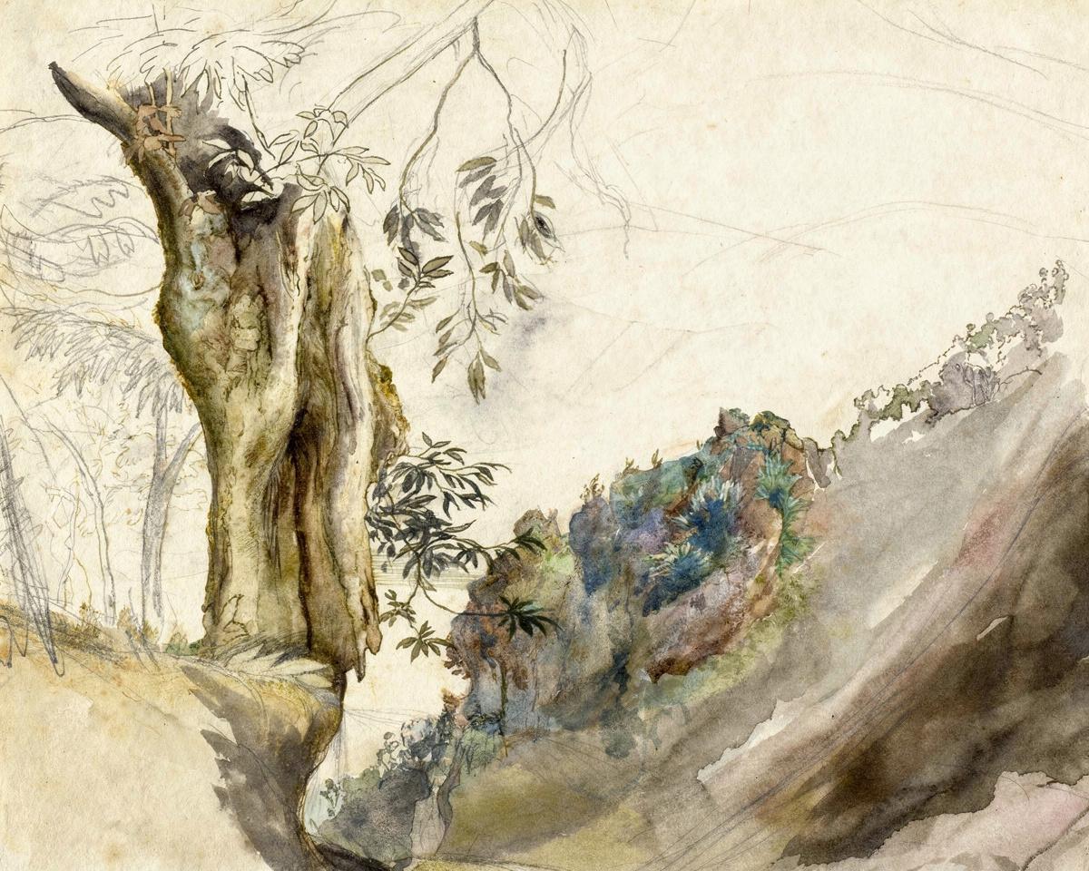 Spanish Chestnut by John Ruskin
English, 1819-1900 — archival fine-art print from Fable