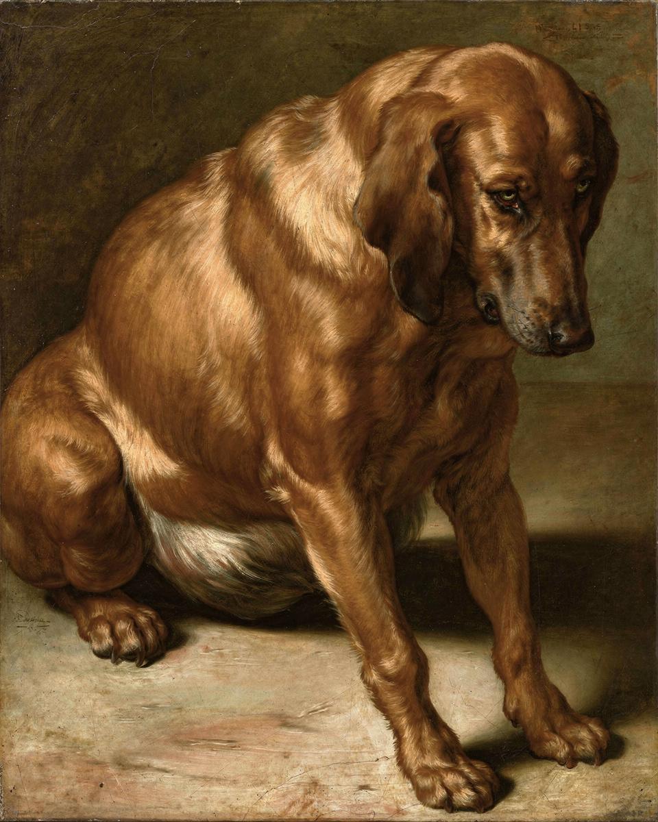 Seated Dog — archival fine-art print from Fable