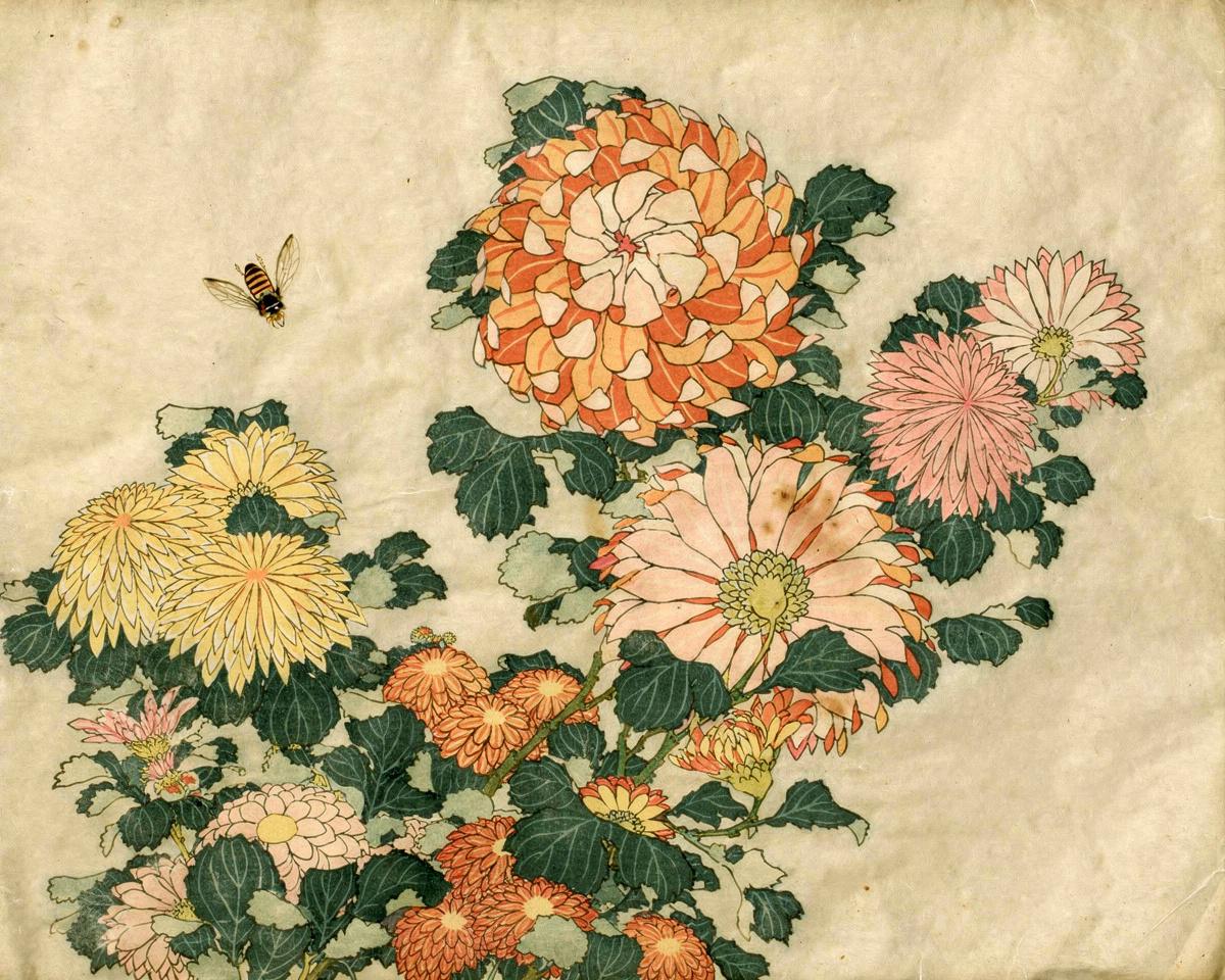 Chrysanthemum and Horsefly by Katsushika Hokusai 葛飾 北斎
Japanese, 1760-1849 — archival fine-art print from Fable