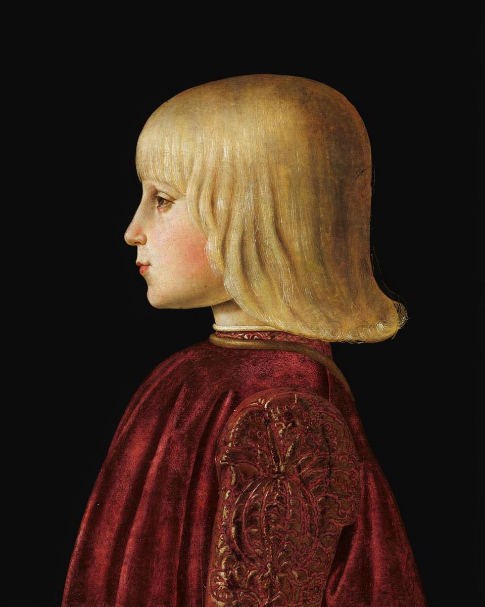 Portrait of a Boy. (Guidobaldo Da Montefeltro?) by MTB-PE-616 — archival fine-art print from Fable