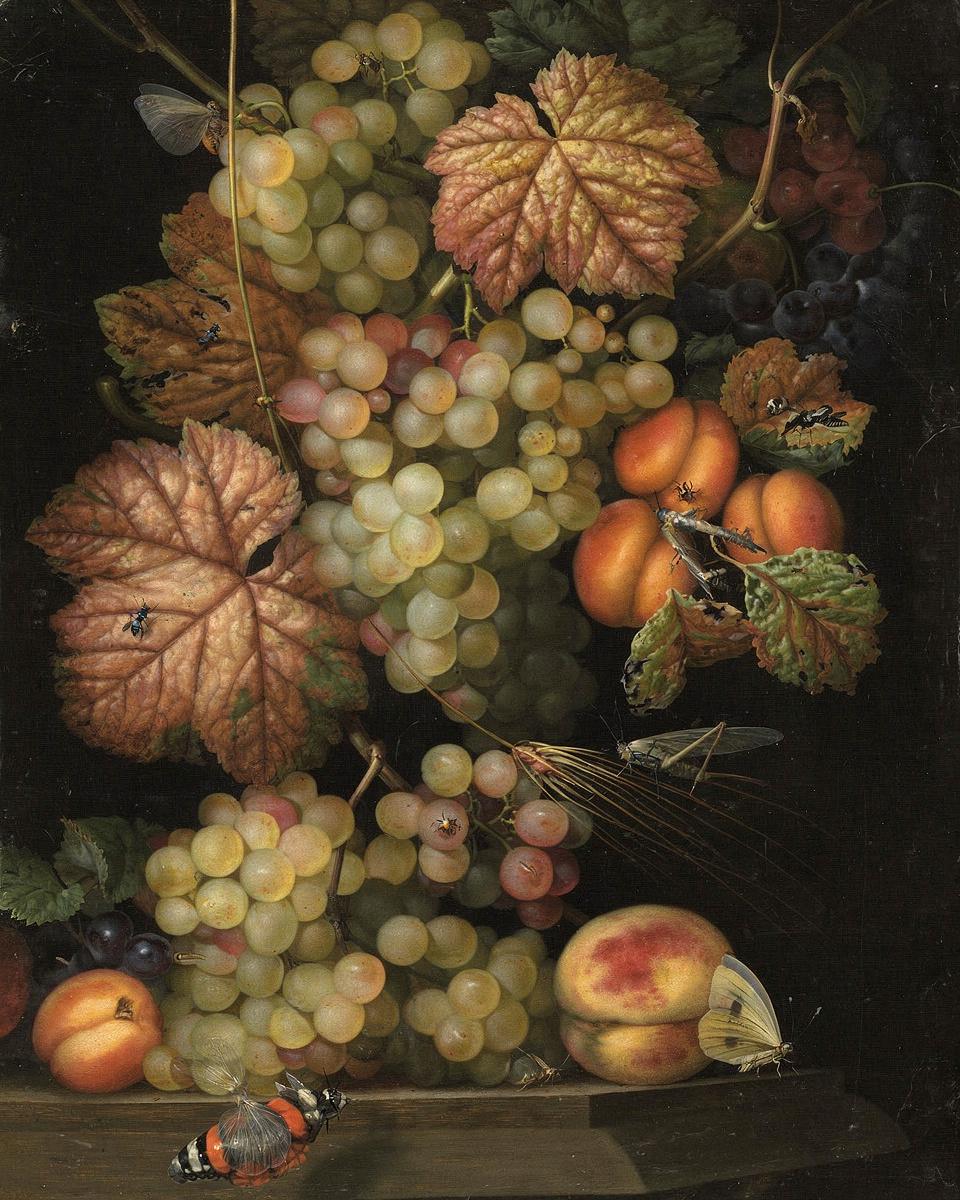 Still Life by 1655_person — archival fine-art print from Fable