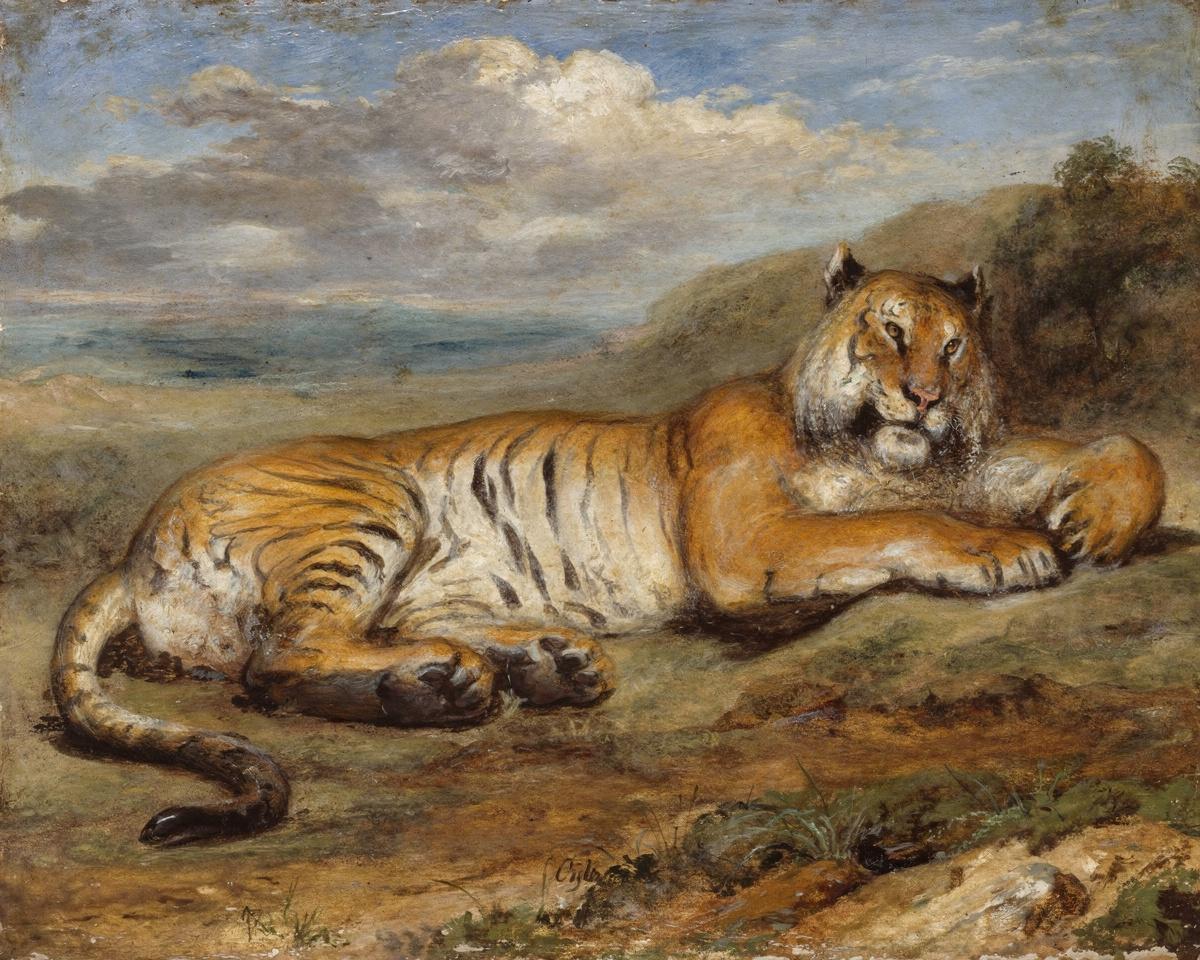 Tiger Resting by Pierre Andrieu — archival fine-art print from Fable
