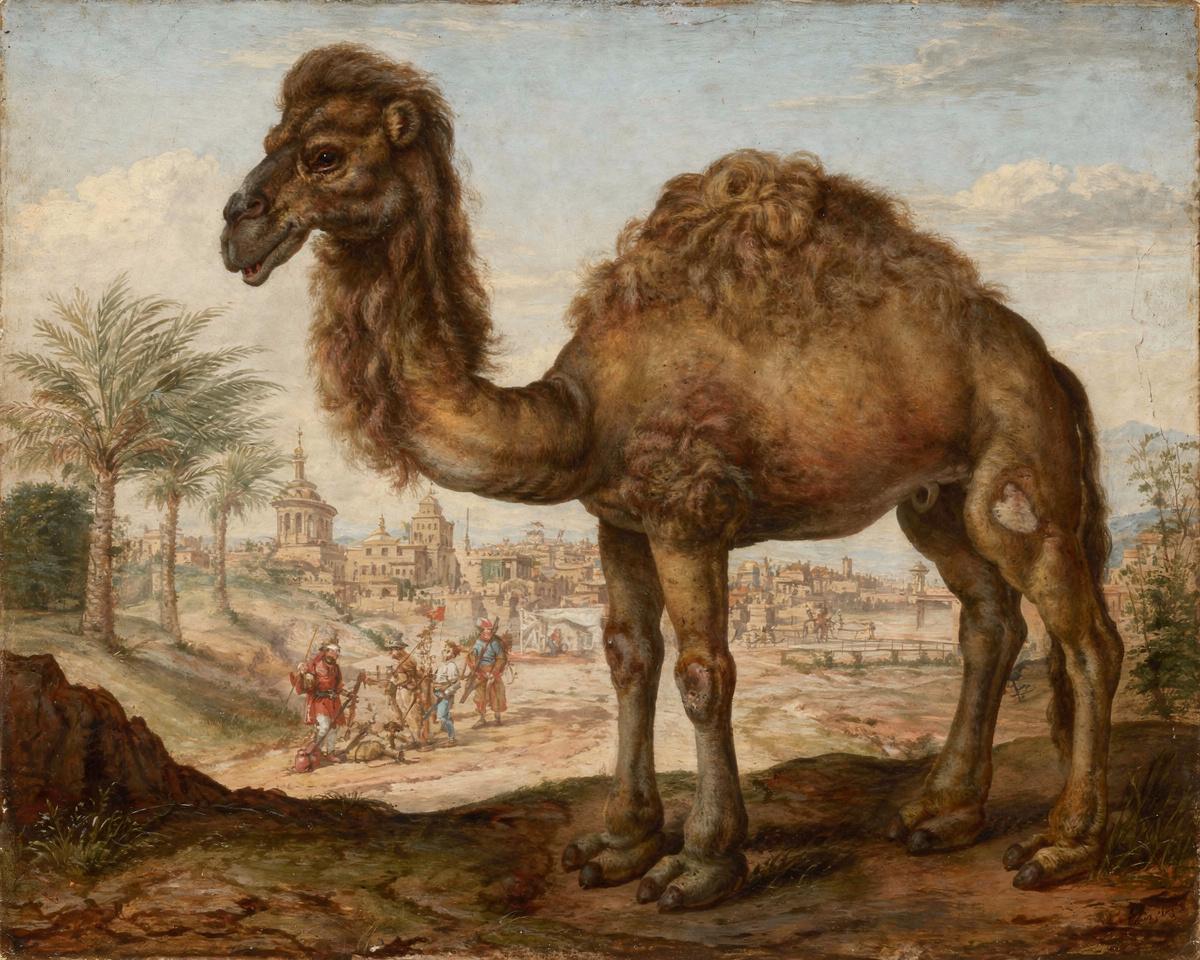 Dromedary in an Eastern Landscape with a City — archival fine-art print from Fable