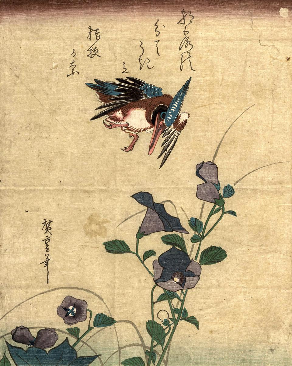 Kingfisher and Chinese Bellflowers by Utagawa Hiroshige — archival fine-art print from Fable