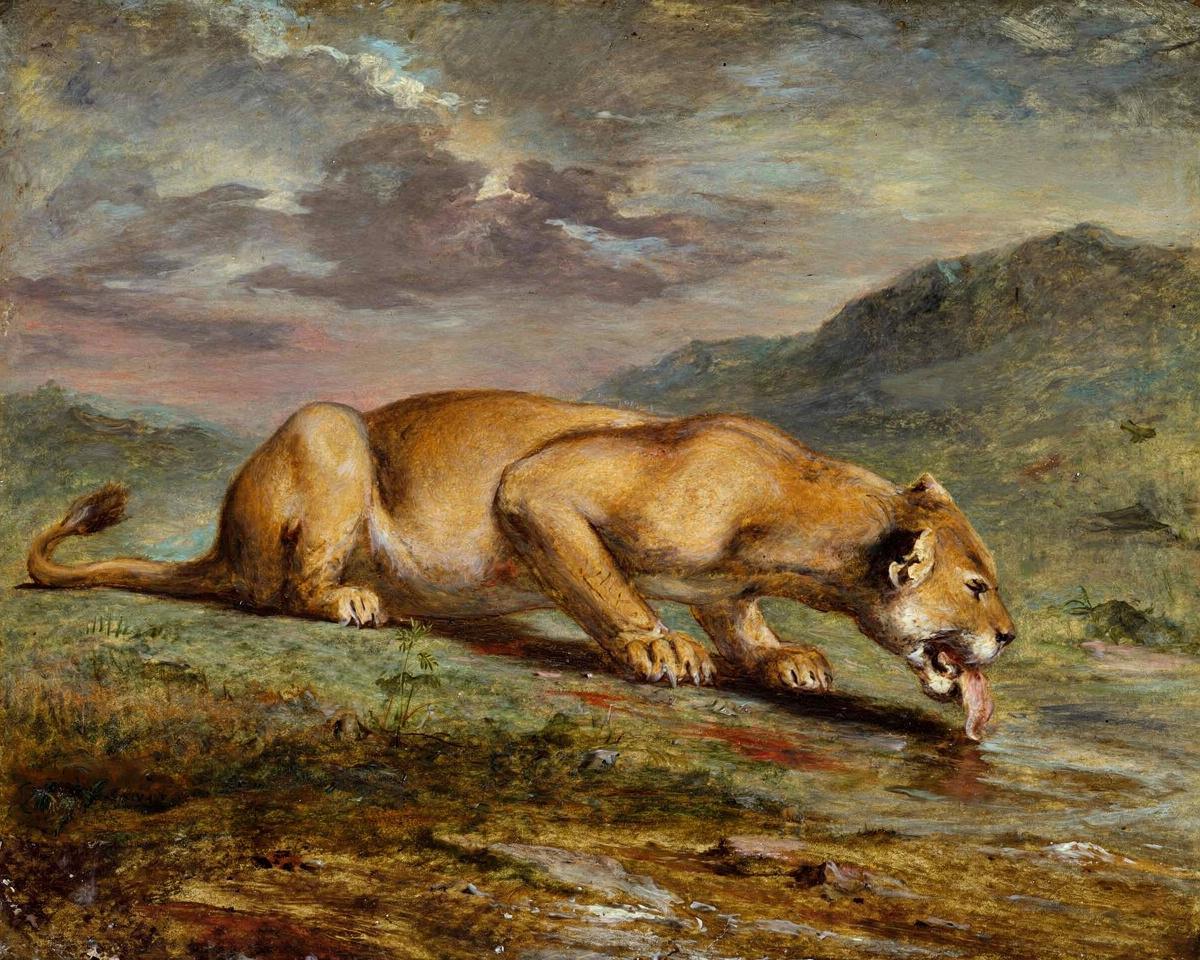 Wounded Lioness by Pierre Andrieu — archival fine-art print from Fable