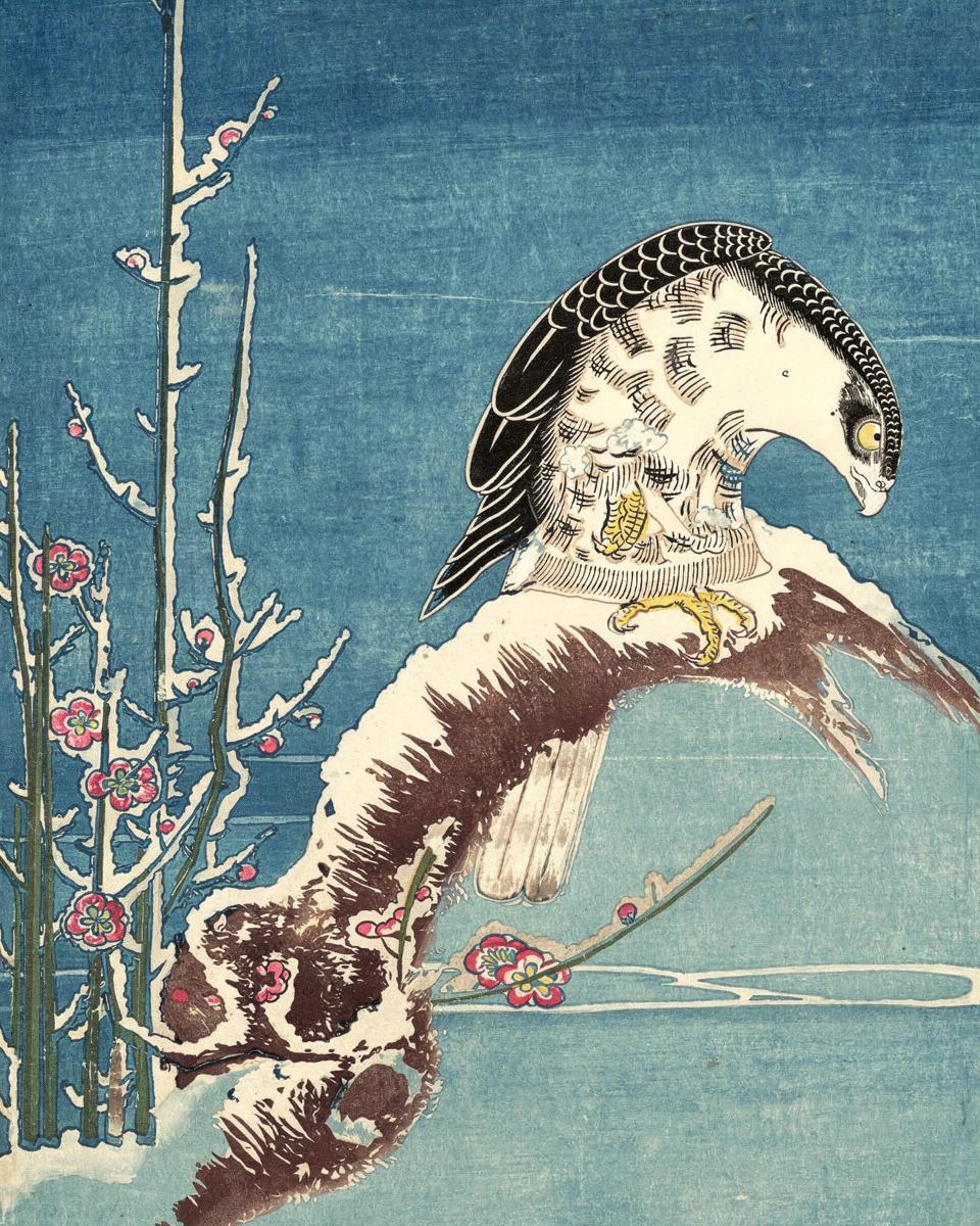 A Hawk Perched on a Snow-covered Pine Tree by Isoda Koryūsai — archival fine-art print from Fable