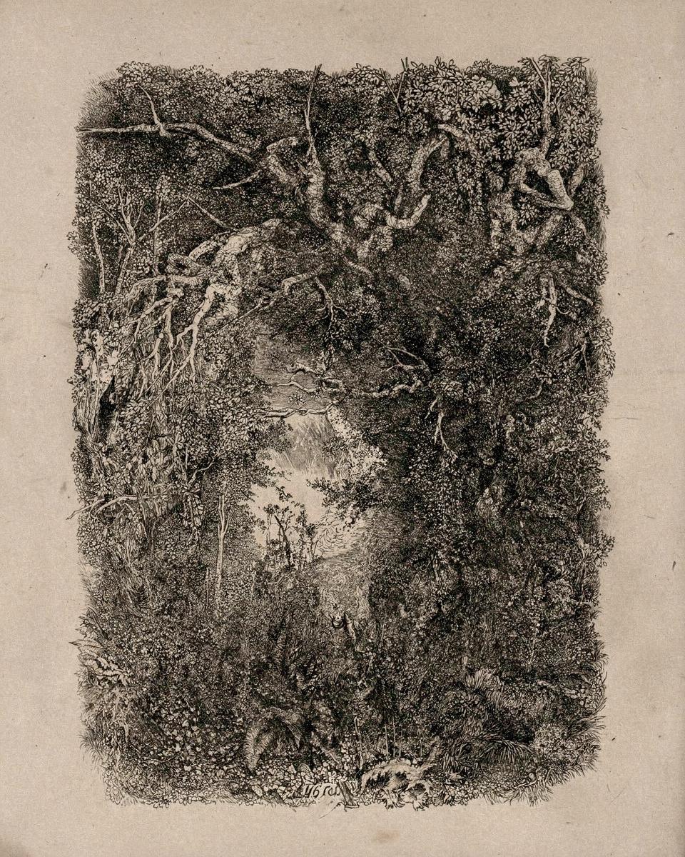 Clearing in the Forest by Rodolphe Bresdin
French, 1825-1885 — archival fine-art print from Fable